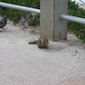 San_Diego_Park_3.jpg