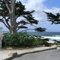 Pacific Ocean.JPG