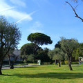Nice Museum_3.JPG