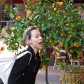 Olga and Mandarine tree.JPG