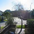 Outside_01.jpg